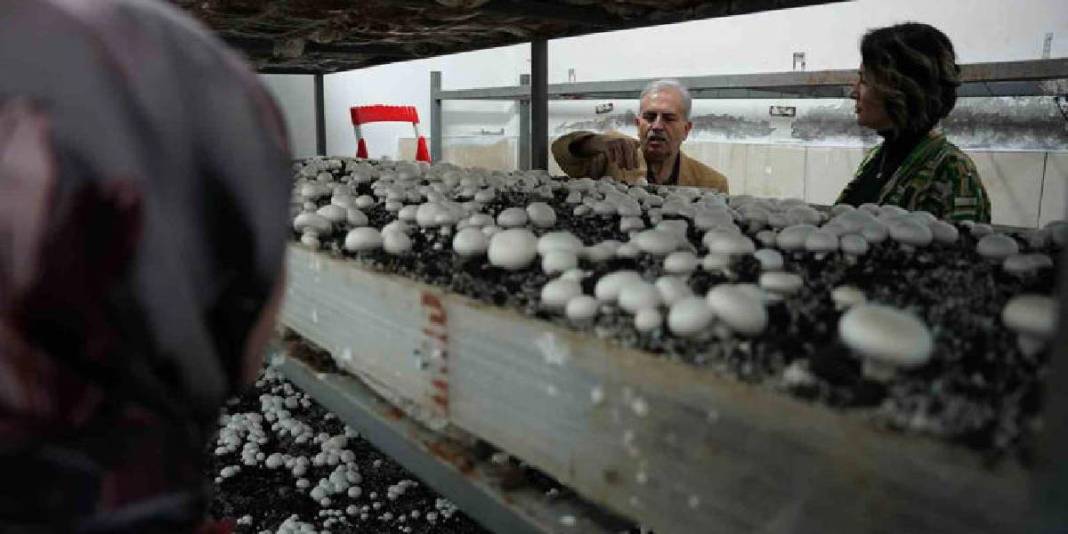 Aynı çatı altında hem eğitim hem üretim! 8 yıldır süren sistem: 60 metrekarede öğrenciler tecrübe kazanıyor 1